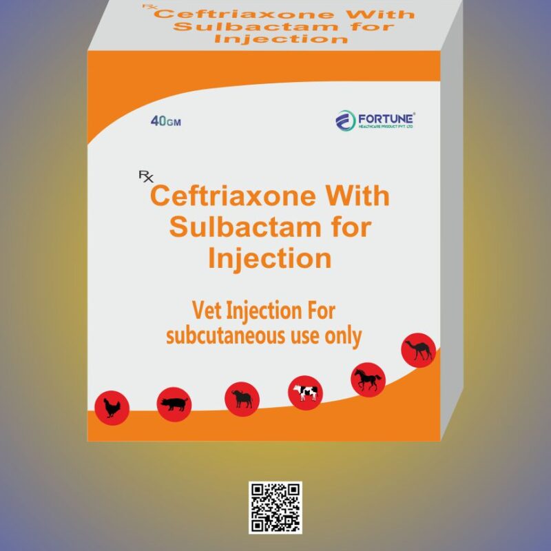 Ceftriaxone Sulbactam   Injection