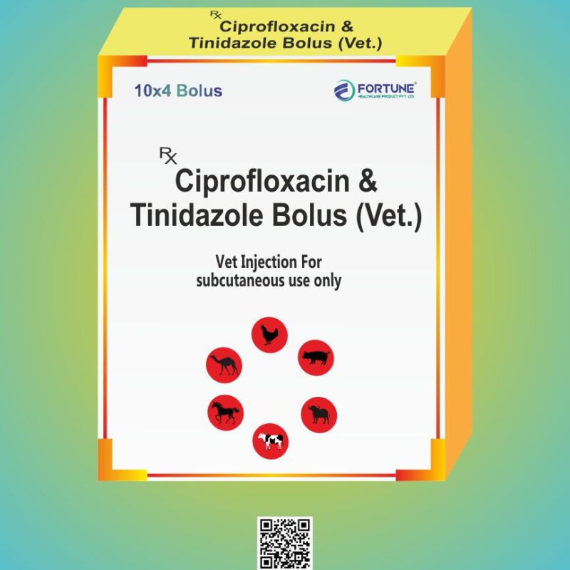 Ciprofloxacin & Tinidazole Bolus